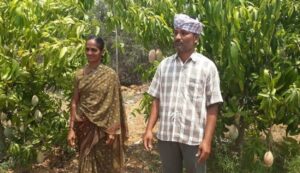 Andhra-pradesh-this-farmer-turned-barren-land-into-a-thriving-mango-orchard. Jpeg