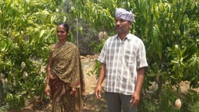 Andhra-pradesh-this-farmer-turned-barren-land-into-a-thriving-mango-orchard. Jpeg