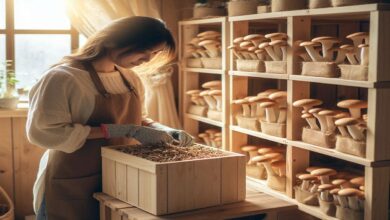 Mushroom cultivation at home