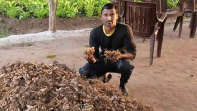 Nahar singh kushwah a farmer