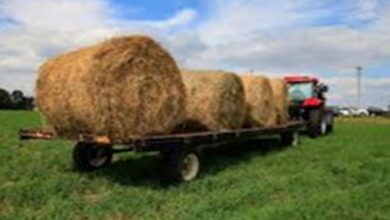 Paddy straw management