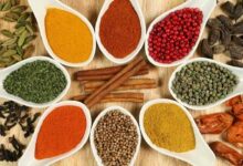 Cultivation of spices