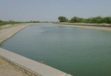 Indira gandhi canal project