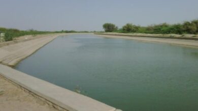 Indira gandhi canal project