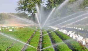 Micro Irrigation Community Scheme