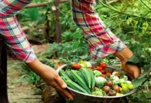 Organic farming benefits