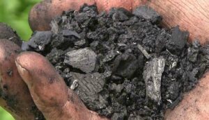 Uses of charcoal in farming