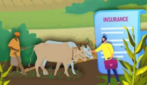 Crop insurance scheme