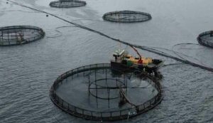 Fish Farming