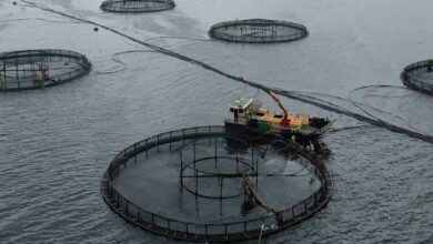 Fish farming