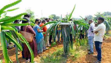 Fruit farming training