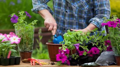 Gardening tips