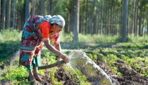 Natural farming