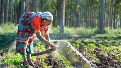 Natural farming