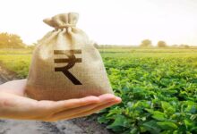 Subsidy on fertilizers