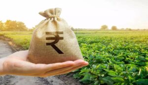 Subsidy on fertilizers