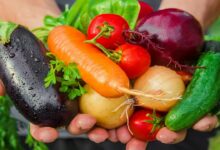 Vegetable farming