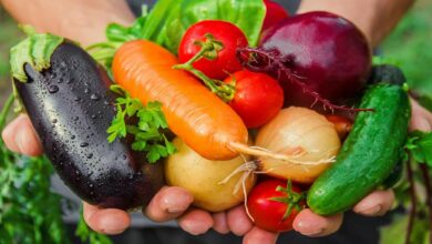 Vegetable farming