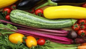 Vegetables farming