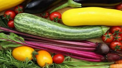 Vegetables farming