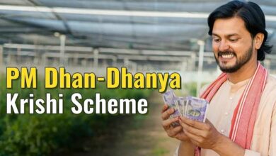 Pm dhan-dhanya krishi scheme